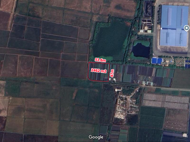 Rẻ! Đất 2.5tr/m² 0.25Ha – Xuân Thới Thượng 2 HM - Ảnh chính